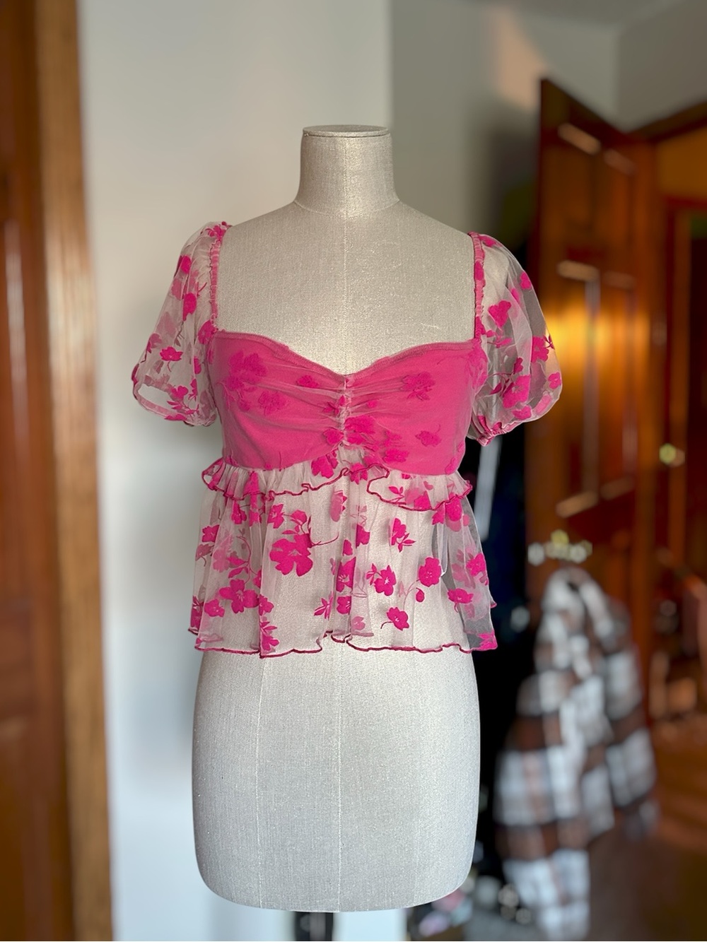 Kimchi Blue/Urban Outfitters Claudia Mesh Velvet Floral Blouse